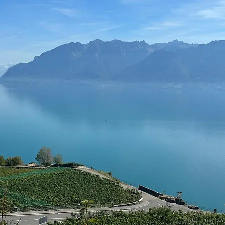 Panoramic In The Vineyard,stunning Views Of And Alps 게스트하우스