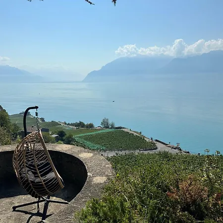 Panoramic In The Vineyard,stunning Views Of And Alps