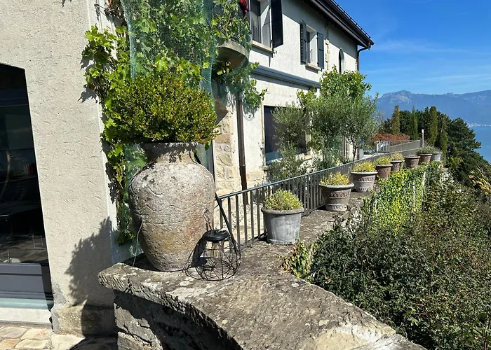 Panoramic In The Vineyard,stunning Views Of And Alps 3* Puidoux