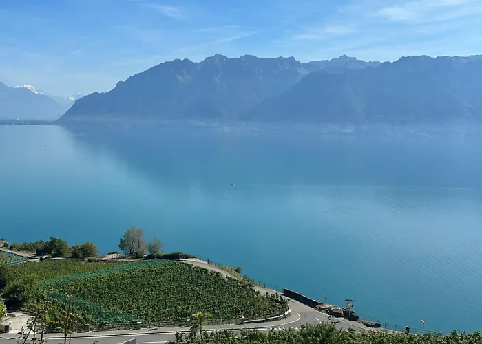 Panoramic In The Vineyard,stunning Views Of And Alps Gæstehus