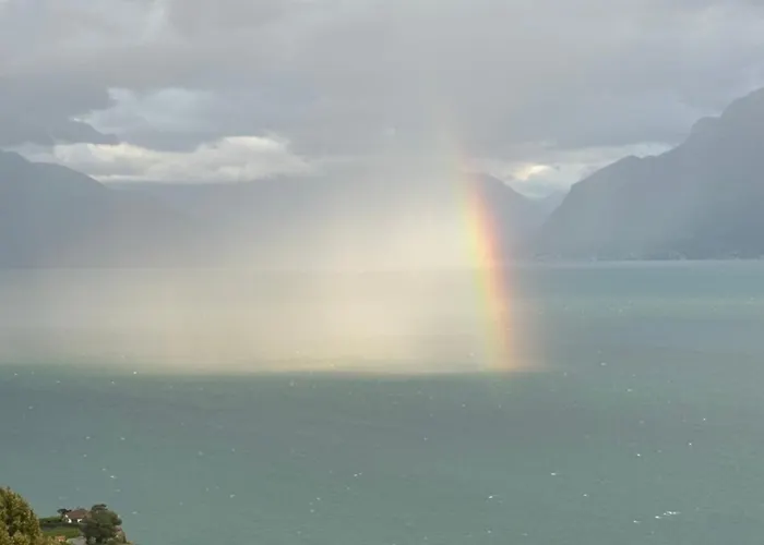 Panoramic In The Vineyard,stunning Views Of And Alps Puidoux