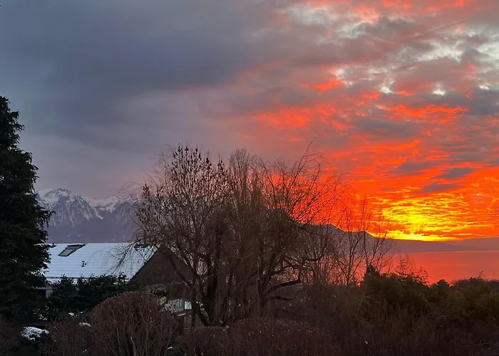 Gæstehus Panoramic In The Vineyard,stunning Views Of And Alps 3*