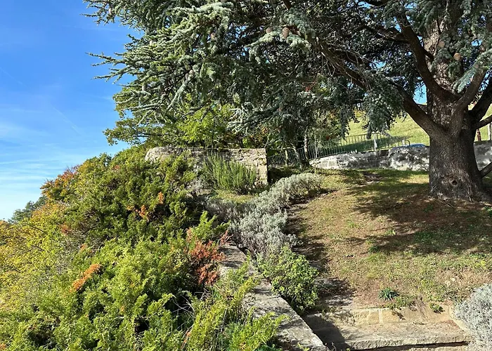 Panoramic In The Vineyard,stunning Views Of And Alps 3*